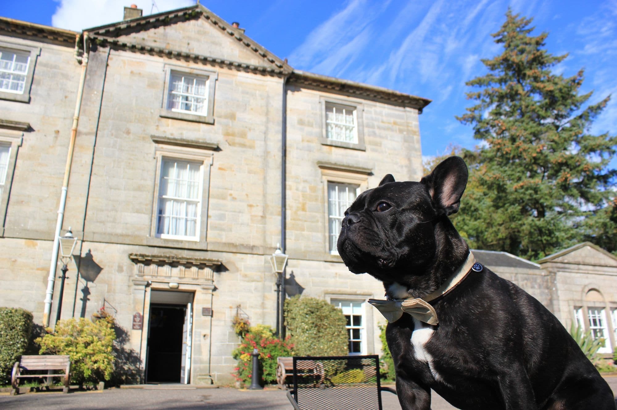 Strathaven Hotel Bagian luar foto